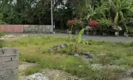 Dijual 16 Are, Jl. Gunung Salak Perum Pradasari Pafangsambian Klod Denpasar