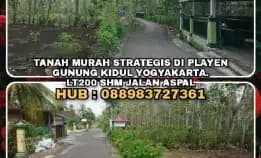 Tanah Murah Strategis Di Playen Gunung Kidul Yogyakarta.Lt200 Shm Jalan Aspal. H:088983727361>>