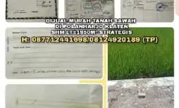 Tanah Sawah Murah Strategis Di Polanharjo Klaten. Lt±1950m² Shm. H: 087712441698/08124920189 (Tp)