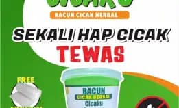 Jual Racun Cicak Di Palangkaraya Wa 0821 5352 4020