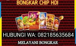 Bongkar Chip Terpercaya