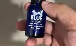 0882005081745 Jual Blue Wizard Asli Di Bali Cod Denpasar Toko Obat Perangsang Wanita Terbaik Potenzol