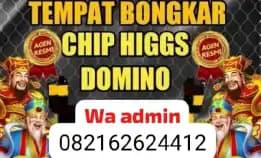 Agen Jasa Terima Bongkarran Chip Hdi Dan Royal