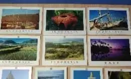 Jual Postcard Impact Pesona Indonesia Terbitan Periplus