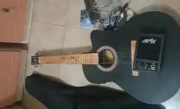 Gitar Lakewood