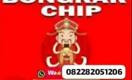 Agen Terimah Bongkar Chip Hdi