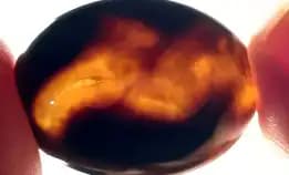 Natural Yaman Wulung Akik Agate Wulung