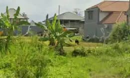 Diover Kontrakan 46,4 Are, Jl. Pantai Berawa Gg. Purnama Tibubeneng Canggu Kuta Utara