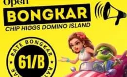 Terima Bongkar Chips Hdi Aman Terpercaya