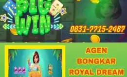 Agen Resmi Bongkar Royal Dream Kontak 083177152487