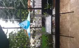 (Cod) Sangkar Burung Jumbo Model Rumah