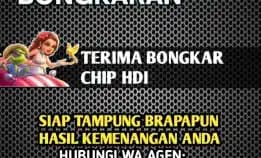 Bongkar Chip Hdi Terpercaya