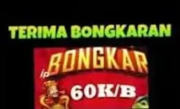 Bongkar Bongkaran Chip Open Bongkar Chip Island