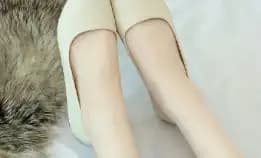 Bayar Cod - Sepaty Wanita Flatshoes Ballerina - Dmn