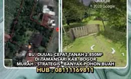 Bu. Dijual Cepat Tanah 2.850m² Di Tamansari Kab. Bogor.Murah - Strategis - Banyak Pohon Buah