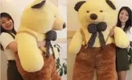 Boneka Beruang Teddy Bear Jumbo Sni