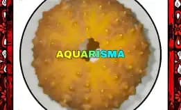 1 Pcs Cangkang Bulu Babi Golden Echinus Echinoya Sea Urchins Grade A+