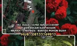 Bu. Dijual Cepat Tanah 2.850m² Di Tamansari Kab. Bogor.Murah - Strategis - Banyak Pohon Buah²