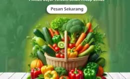 Toko Sayur Segar Di Malang: Solusi Kebutuhan Dapur Berkualitas