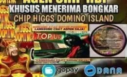 Khusus Bongkar Terima Bongkaran Chip Hdi Open 24 Jam Aman Amanah Dan Terpercaya Wa 082177484313.