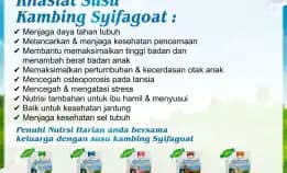 0812-1567-8455 Supplier Susu Kambing Etawa Syifagoat Di Tulungagung Bondowoso