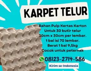 Peredam Telor Kertas Karton Perlindungan Ekstra Tabanan Tabanan Bali (5)