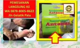 0878-8005-8622 Obat Asam Urat Versi Zaidul Akbar Di Kota Palu