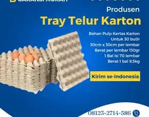 Egg Tray Telor Karton Kardus Diskon Kilat Kediri Tabanan Bali (16)