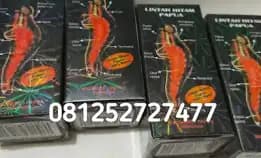 Jual Minyak Lintah Hitam Asli Di Bojonegoro 081252727477