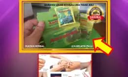 Wa: 0878-8005-8622 Obat Kolesterol Paten Di Kota Palu