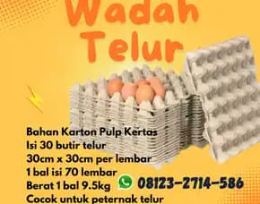 Wadah Telor Karton Kardus Harga Spesial Kediri Tabanan Bali (46)