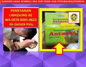 Obat Penurun Kolesterol Tinggi Alami Di Kota Palu