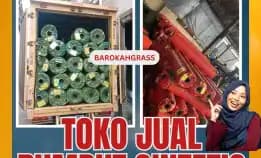 Wa 0896-5297-9519, Harga Rumput Sintetis Bali Bangli Susut