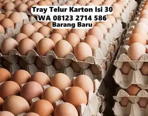 Egg Tray Telor Kertas Karton Inovasi Murah-Meriah Penebel Tabanan Bali (168)