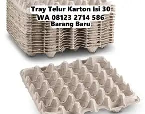 Tray Telor Kardus Harga Miring Selemadeg Barat Tabanan Bali (63)