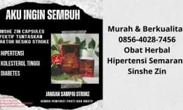 Hemat 0856-4028-7456 Obat Herbal Hipertensi Semarang Sinshe Zin