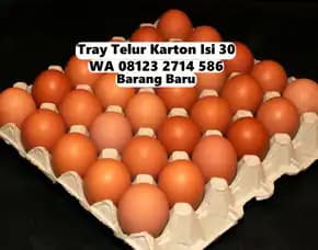 Tempat Telur Karton Jaminan Mutu Marga Tabanan Bali (107)