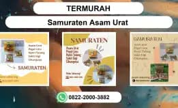 Termurah, 0822-2000-3882 Distributor Samuraten Asam Urat Jombang