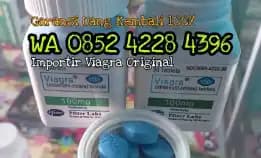 Obat Tahan Lama Ampuh Di Tebingtinggi 085242284396 Obat Ejakulasi Dini