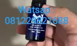 081229821688 Toko Jual Blue Wizard Asli Di Denpasar Bali Cod Obat Perangsang Wanita Herbal Potenzol Cair