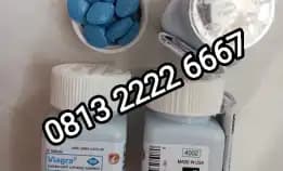 Jual Obat Viagra Asli Di Jakarta Utara (Cod Wa 081322226667) Toko Obat Kuat Di Jakarta Utara