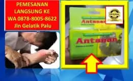 0878-8005-8622 Obat Alami Kolesterol Untuk Bumil Di Kota Palu