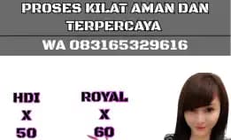 Bongkar Hdi Aman Dan Terpercaya Wa 083165329616