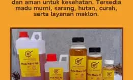 Super 0856-4840-4735 Toko Madu Asli Madu Hutan Meningkatkan Daya Tahan Tubuh. Tanah Bumbu Bekasi Madu Khadijah