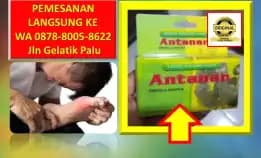 0878-8005-8622 Obat Asam Urat Aman Untuk Ibu Menyusui Di Kota Palu