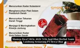 Mantep Jiwa!! 0856-4028-7456 Jual Obat Herbal Asam Lambung Semarang Pt Dewa Obat