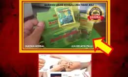 0878-8005-8622 Obat Asam Urat Yang Aman Untuk Ibu Menyusui Di Kota Palu