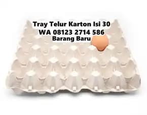 Tempat Naruh Telor Kertas Karton Inovasi Baru Kediri Tabanan Bali (166)