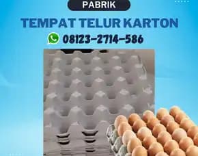 Trey Telor Ayam Murah (Tray Telur) - Tahan Lama Kirim Ke Batu Layar Lombok Barat (39)