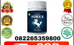 082265359800 | Jual Hendel Forex Asli Di Banda Aceh